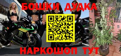 прущие грибы Аргун