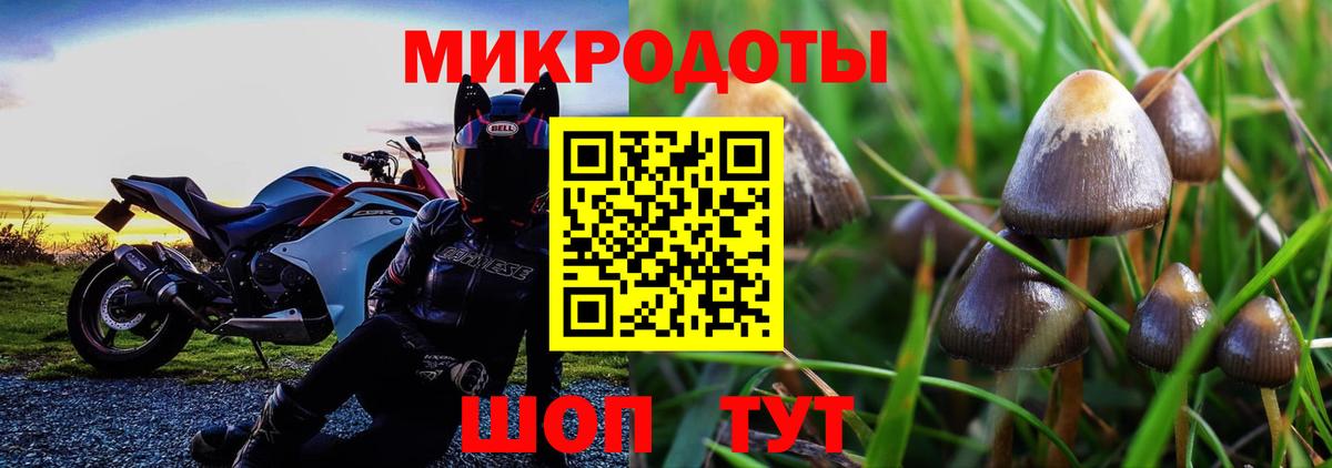 Псилоцибиновые грибы MAGIC MUSHROOMS Полевской