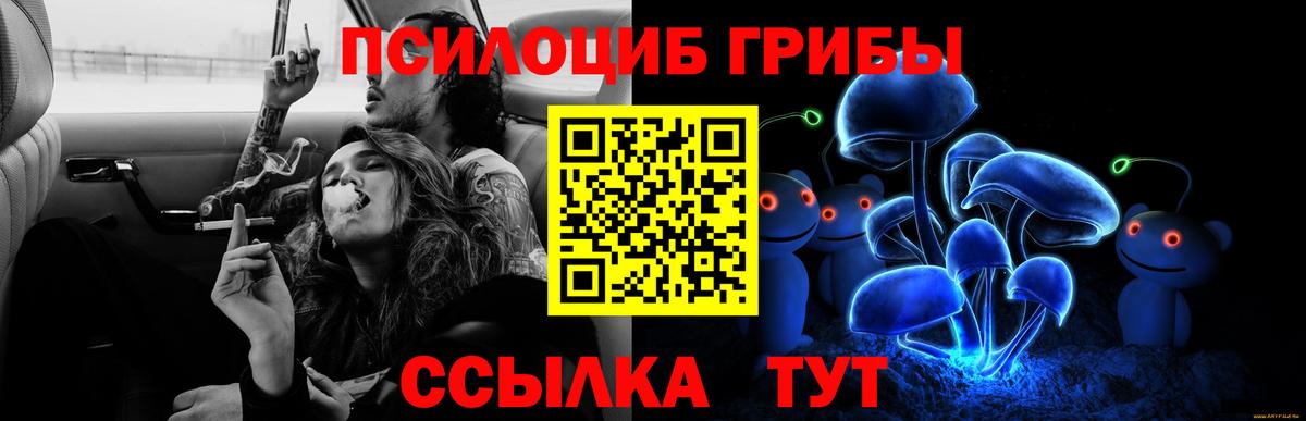 Псилоцибиновые грибы ЛСД Полевской